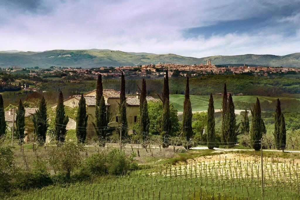 Allegretti Agriturismo Castelnuovo Berardenga Ngoại thất bức ảnh